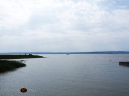 Musikalische Tagesfahrt zum Neusiedlersee am 21. 08. 2024